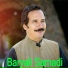 Baryalai Samadi