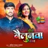 Anil Yadav Arwal