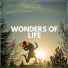 Relaxing Music