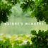 Nature Field Recordings