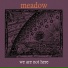 Meadow