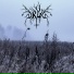 Drud