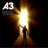 A3