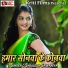 Shailesh Sawariya
