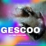 Gescoo