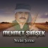 Mehmet Şimşek