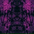 Animaster, Nxrth Sxde