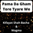Kifayat Shah Bacha feat. Wagma