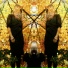 Austra