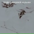 Кафе джазовой музыки