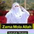 Zainullah Shaheen