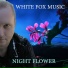 White Fox Music