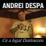 Andrei Despa