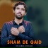 syed Alamdar hussain Naqvi