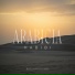 ARABICIA