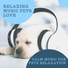 Ambient Sleep Music