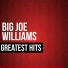 Big Joe Williams