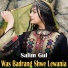 Salim Gul