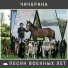 Чичерина ( Войнаимир)