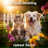 Upbeat Sound