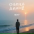 陈环宇