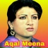 Aqal Meena