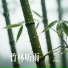 飞雪传奇