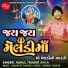 Rahul Thakor Sayla