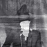 The Veils
