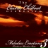 The Electric Chillout Orchestra