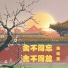 Yang Yu Ying