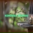 Kinossa Fronio