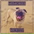 Nickzzy