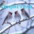Василий Головизнин