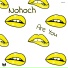 Nohoch