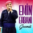 Emin Erbani