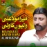 Ali Shahzaib