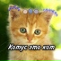 Lxzienuzs