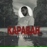 (41-46hz) BAGARDI