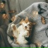 Cat Relaxing Master