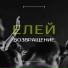 ЕЛЕЙ