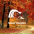 Silent Knights