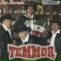 Grupo Temmor