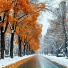 Александр Фло