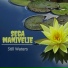 Still Waters
