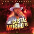 Luis R Conriquez