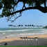Nice1