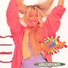Cris Morena