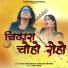 Vijay Bahadur, vandana khanna