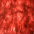 Torsten Storm